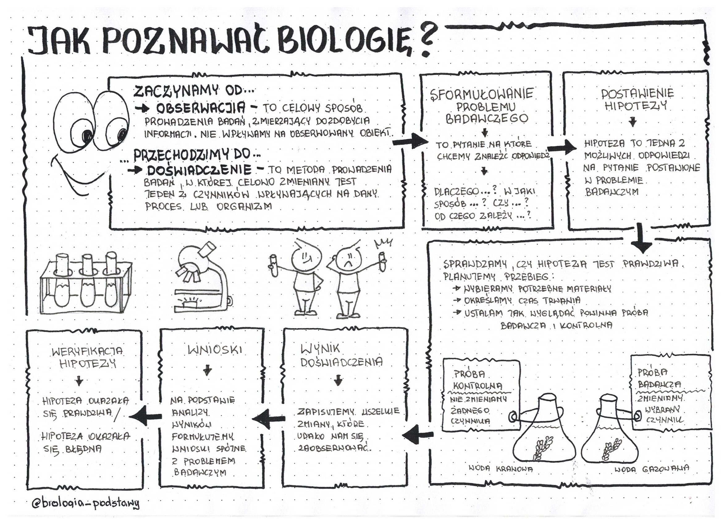 Biologia Klasa 5 Sprawdzian Z Biologi Klasa 5