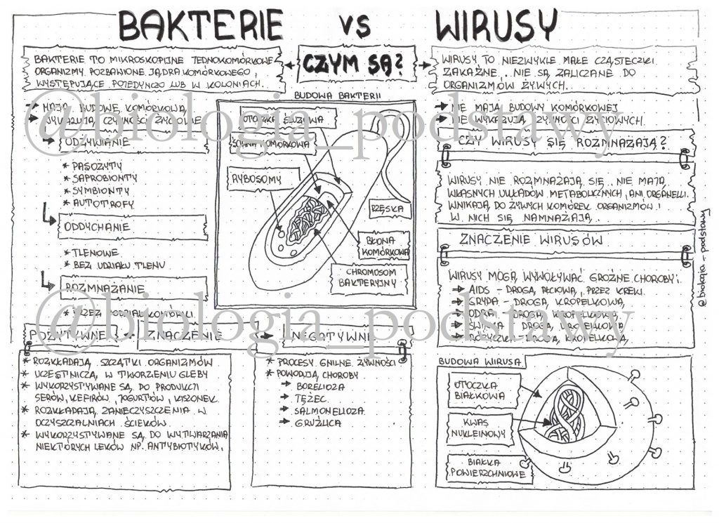 Biologia Klasa 5 Sprawdzian Z Biologii Klasa 5 Dzial 4 Do Druku