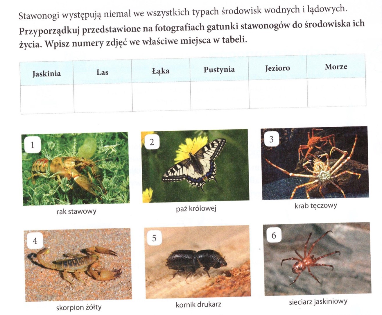 Biologia Klasa 5 Dzia 1 - question Test Z Biologii Klasa 6 Dział 1 świat Zwierząt