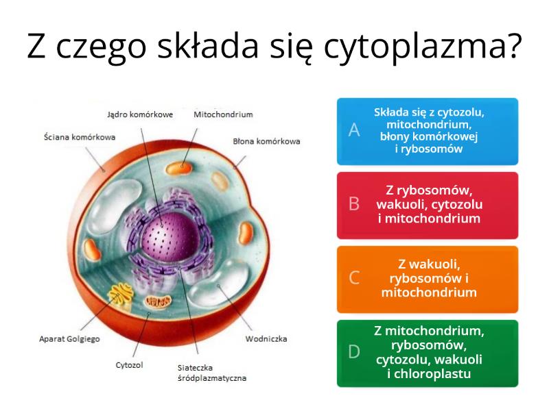 Test Biologia Klasa 5 Komorki