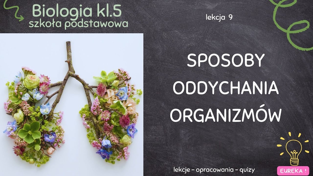 Biologia klasa 5 - lekcja 9 - Sposoby oddychania organizmów - YouTube Sposoby Oddychania Organizmów Klasa 5