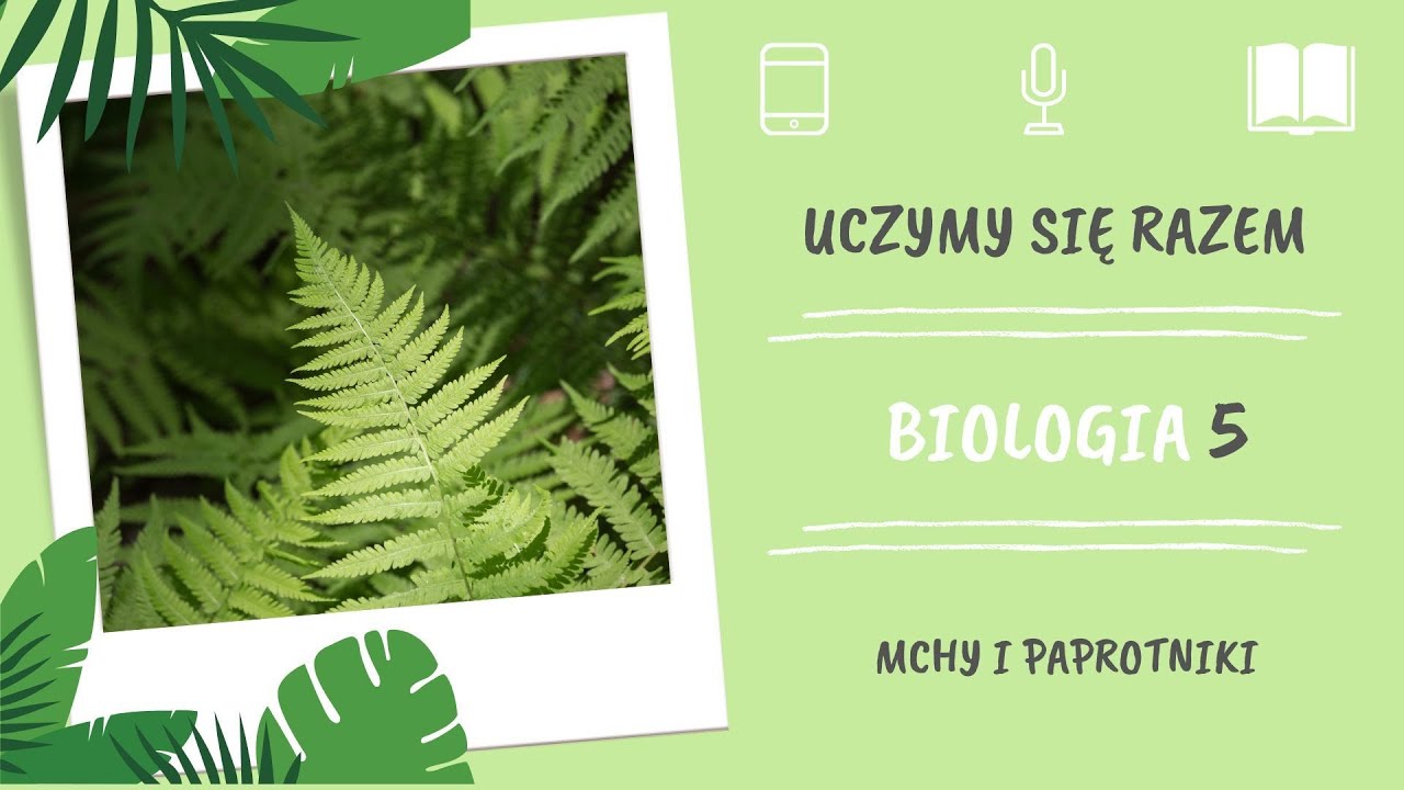 Biologia klasa 5. Mchy i paprotniki. Uczymy się razem - YouTube Mchy I Paprotniki Test Klasa 5