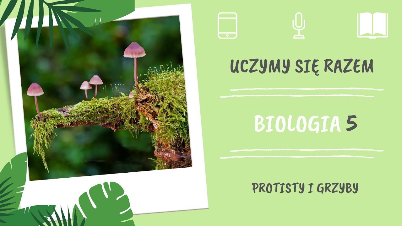 Biologia klasa 5. Protisty i grzyby. Uczymy się razem - YouTube Sprawdzian Z Protisto