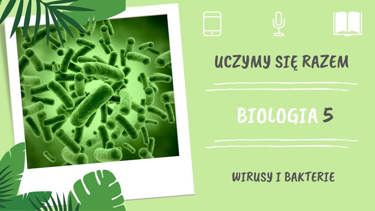 Karty Pracy Biologia Na Czasie 3 Pdf