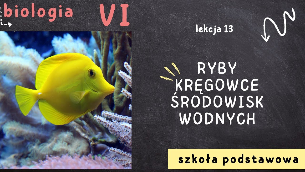 Biologia klasa 6 [Lekcja 13 - Ryby - kręgowce środowisk wodnych] - YouTube Test Biologia Klasa 6 Ryby