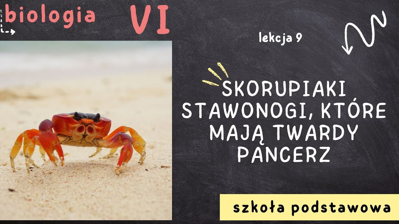 Biologia klasa 6 [Lekcja 9 - Skorupiaki - stawonogi, które mają twardy Test Biologia Klasa 6 Skorupiaki
