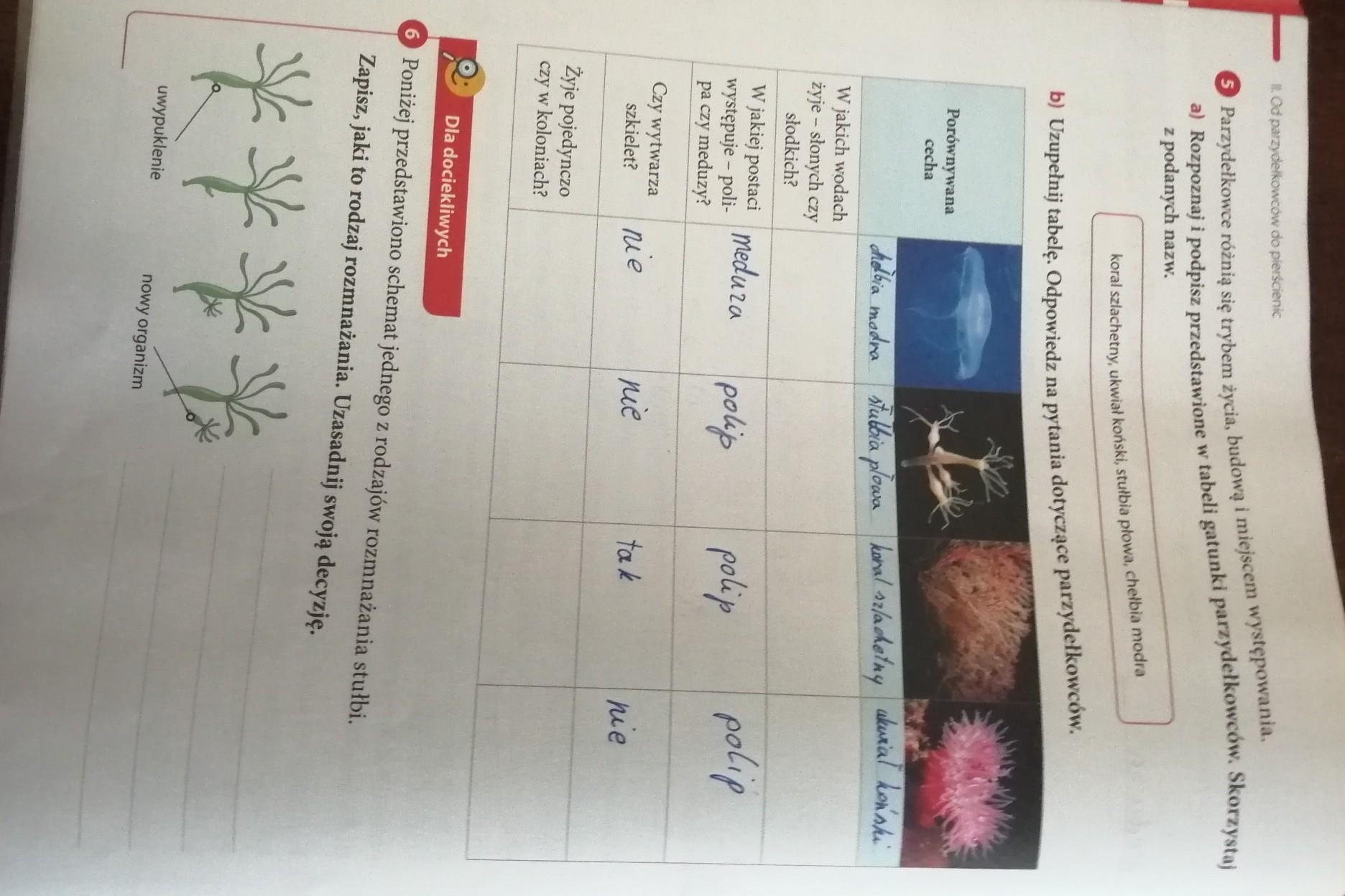 biologia klasa 6 proszę o rozwiązanie zadań i sprawdzenie - Brainly.pl Klasa 6 Biologia Dzial 4