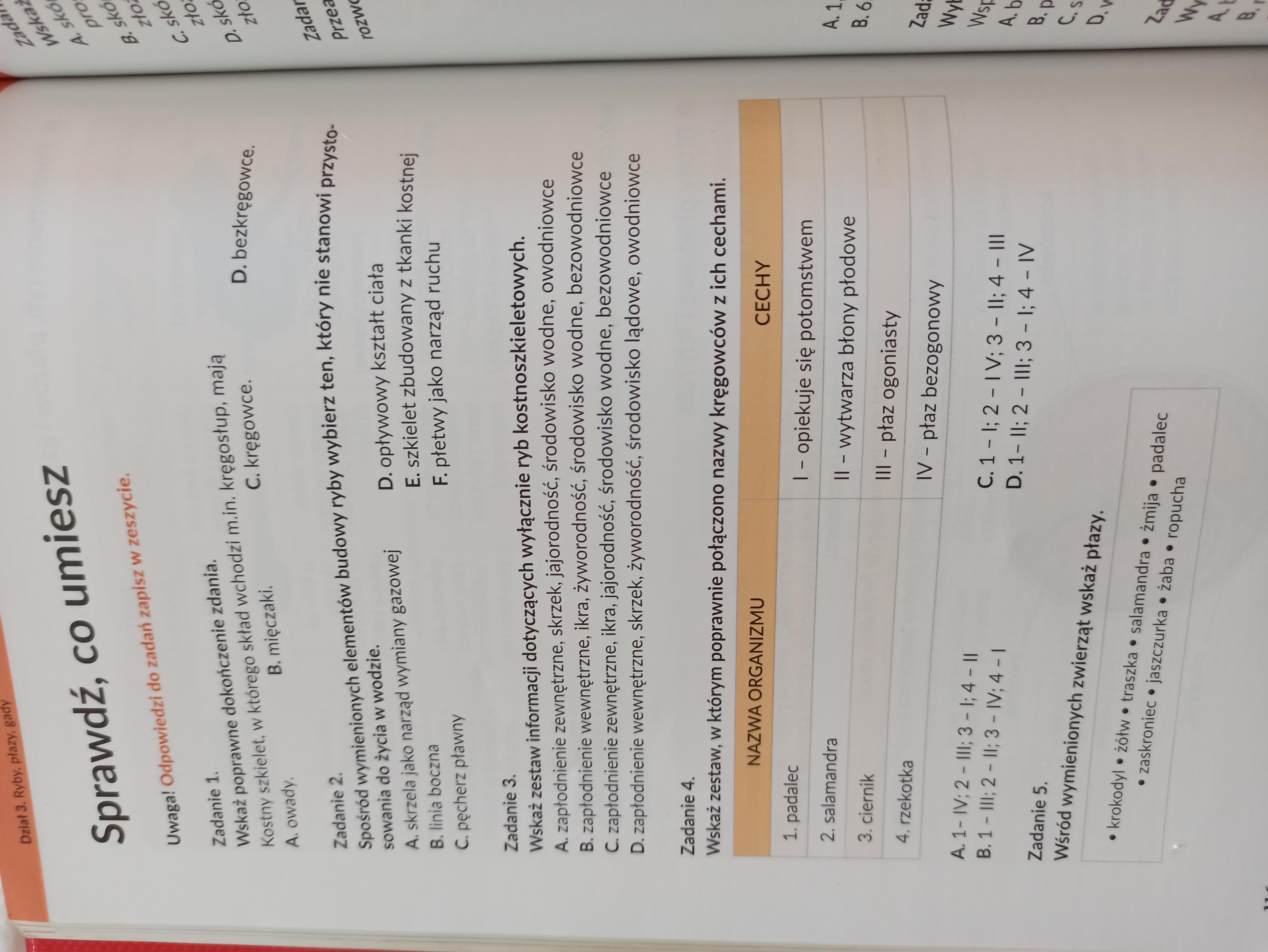 Sprawdzian Bryły Klasa 6 Wsip