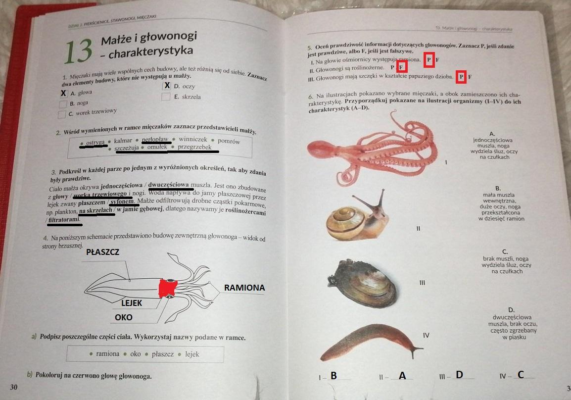 Biologia klasa 6 strona 30,31 w ćwiczeniach WSiP, z góry dziękuję za Cwiczenia Do Biologii Klasa 6