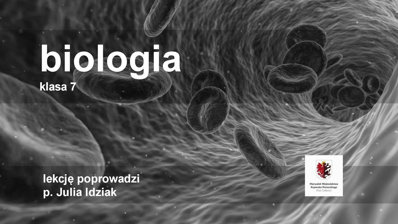 Biologia Klasa 7 Uklad Rozrodczy