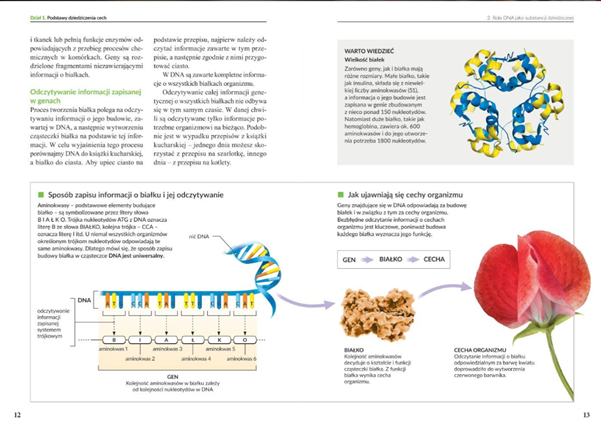 Biologia Klasa 7 - Szkoła podstawowa 4-8 | WSiP.pl Podręcznik Biologia Klasa 7 Wsip