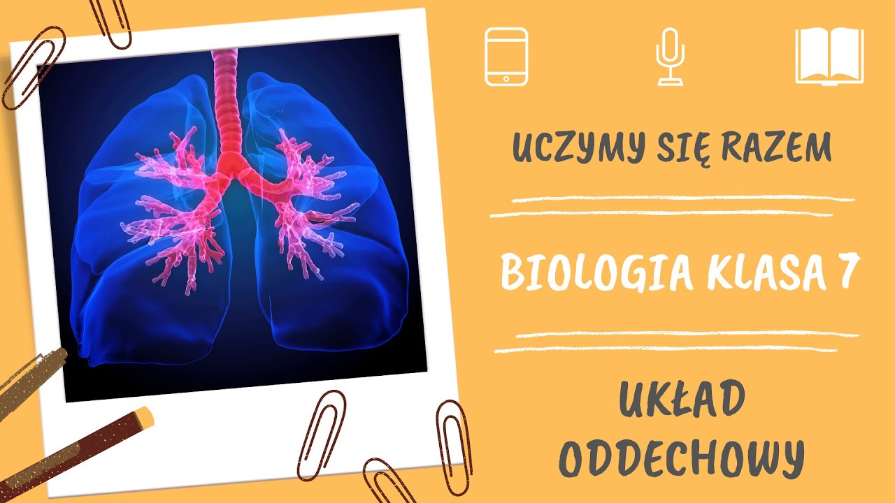 Uklad Oddechowy Klasa 7