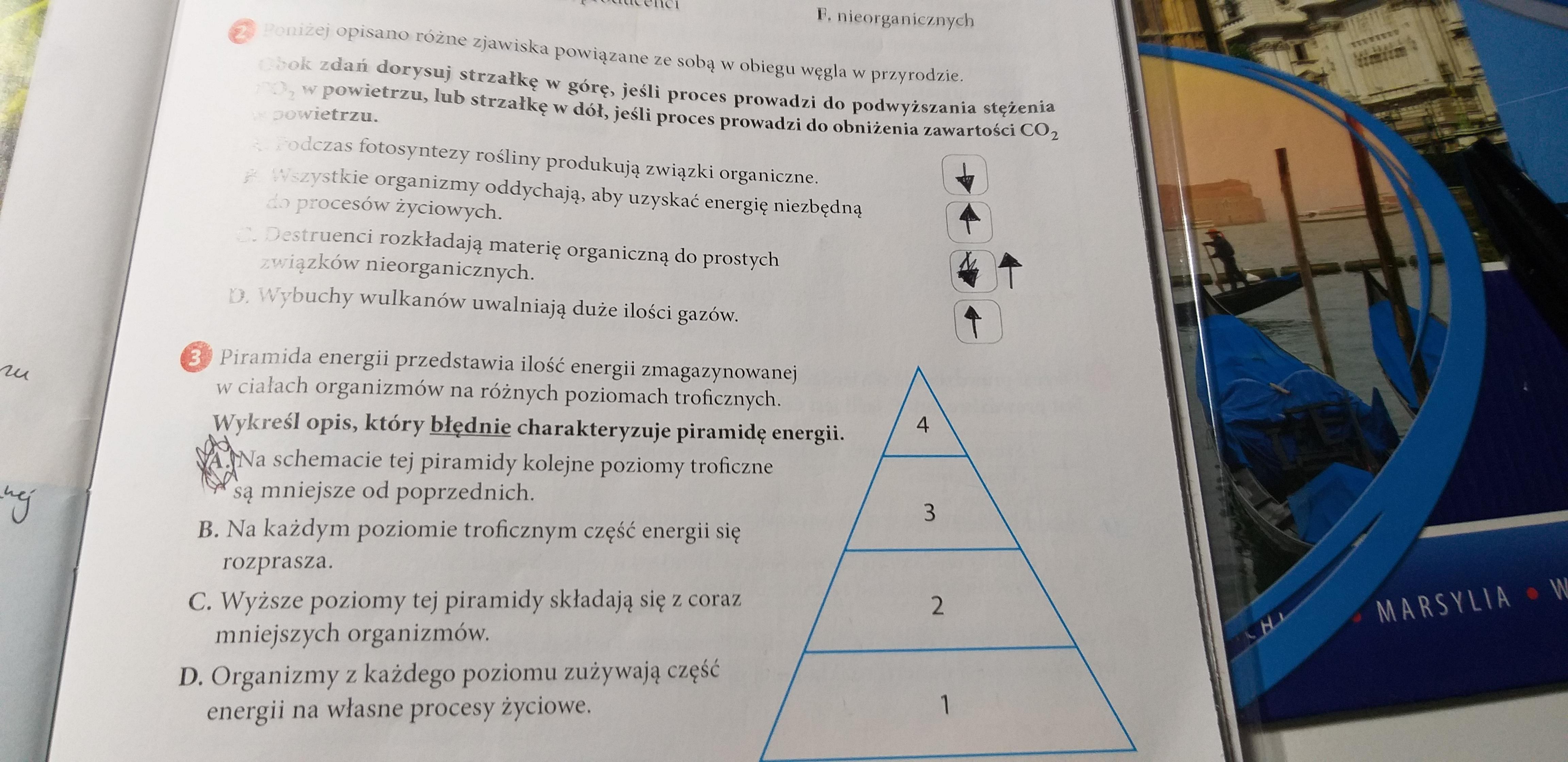 Biologia klasa 8 ekologia Te 2 zadania, bo nwm czy to 1 jest dobrze Sprawdzian Biologia Ekologia Klasa 8 Nowa Era Odpowiedzi