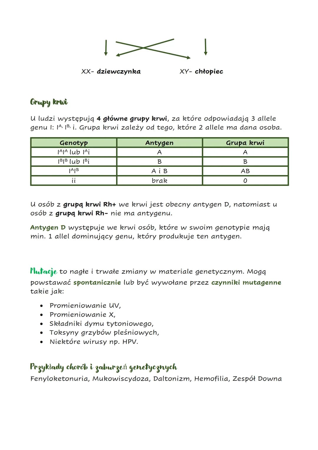 Biologia Klasa 8 - Genetyka Sprawdzian PDF, Dziedziczenie Cech, Mitoza Genetyka Sprawdzian Klasa 8