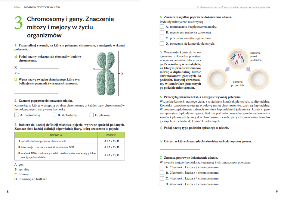 Sprawdziany Biologia Klasa 8 Wsip