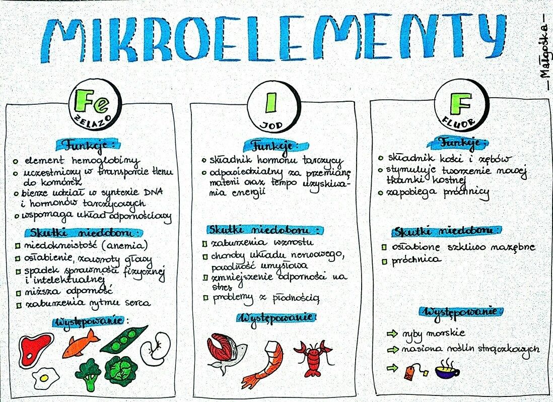 biologia mikroelementy | School organization notes, Biology notes, Biology Skład Chemiczny Organizmów Makro I Mikroelementy