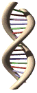 Biología Molecular para tercer semestre de Medicina.UCE: Webinar U Tych Panów Z Wielkich Stanów