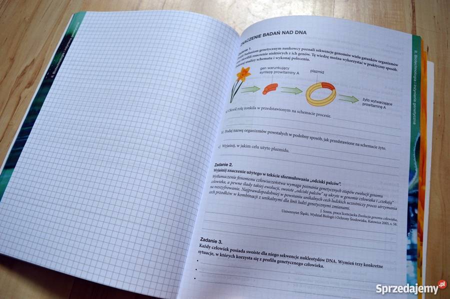 Biologia Na Czasie 1 Karty Pracy Odpowiedzi