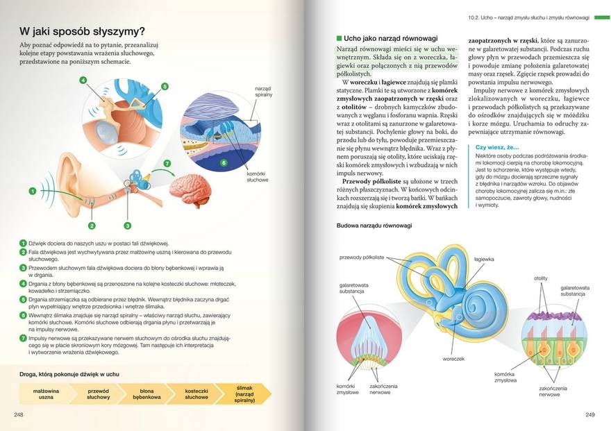 Biologia Na Czasie 2 E Podrecznik