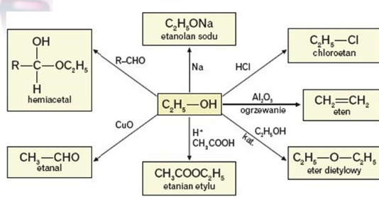 Biologia - nauka o życiu: Alkohole. Alkohole monohydroksylowe. Jak Odróżnić Alkohol Monohydroksylowy Od Polihydroksylowego