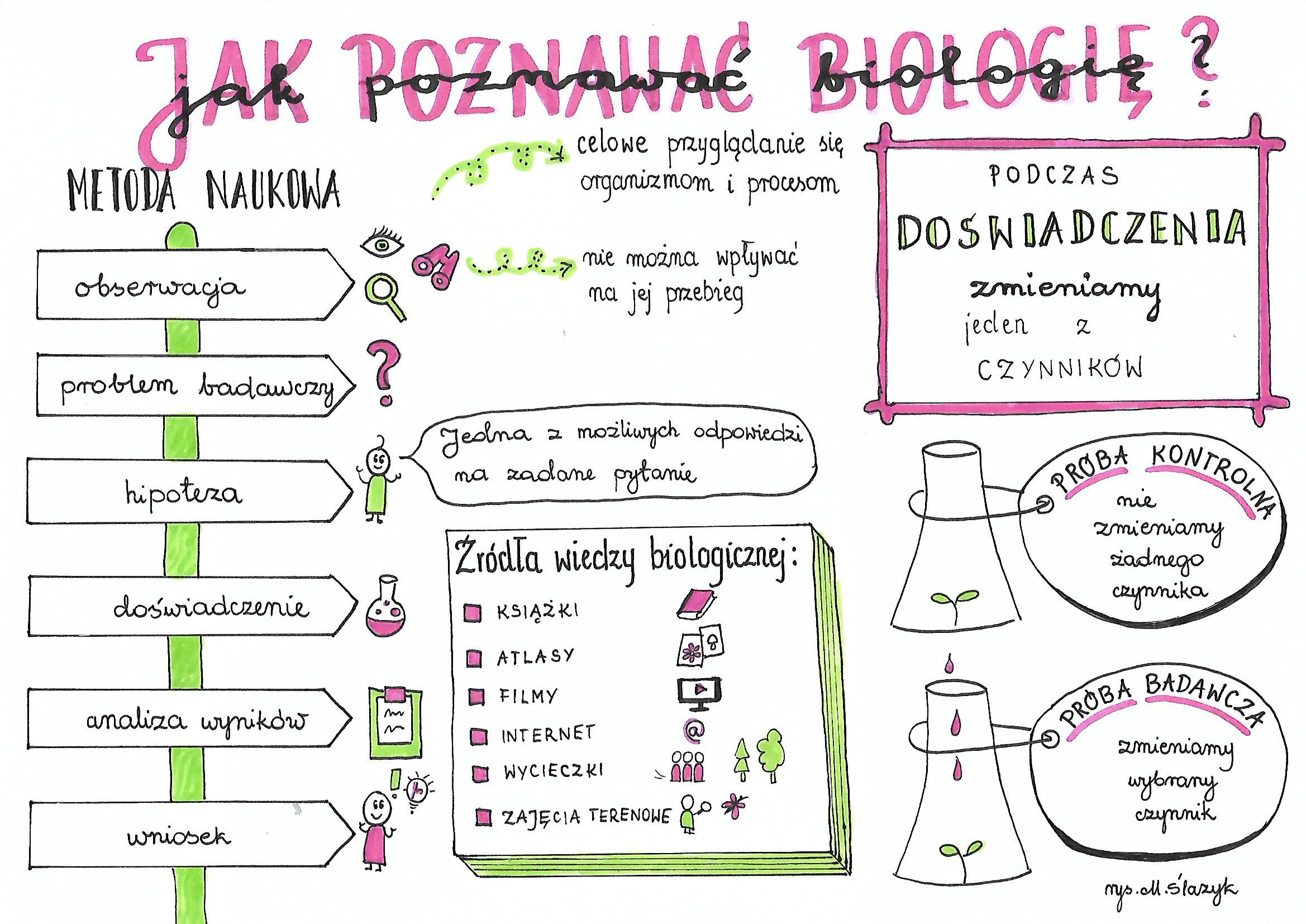 Biologia Nauka O Życiu Sprawdzian Klasa 5 Testy Biologia Kl 5