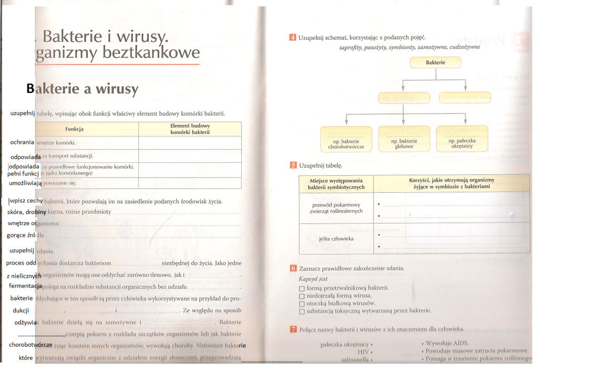 Biologia Puls Życia. III. Bakterie i wirusy. 1. Bakterie a wirusy Bakterie I Wirusy Organizmy Beztkankowe Sprawdzian