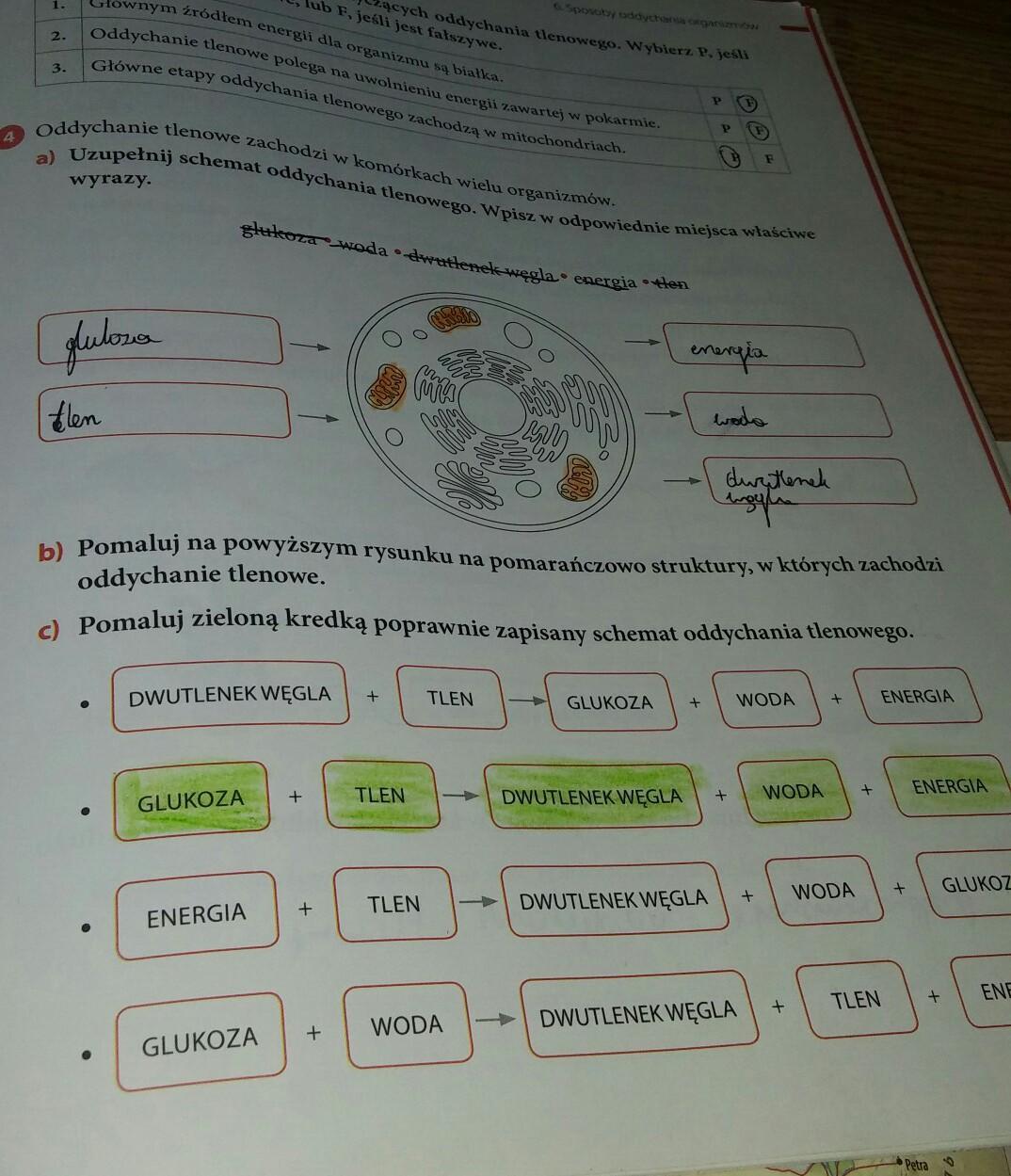 Biologia Puls życia Klasa 5 - Margaret Wiegel Biologia Puls Zycia Klasa 5
