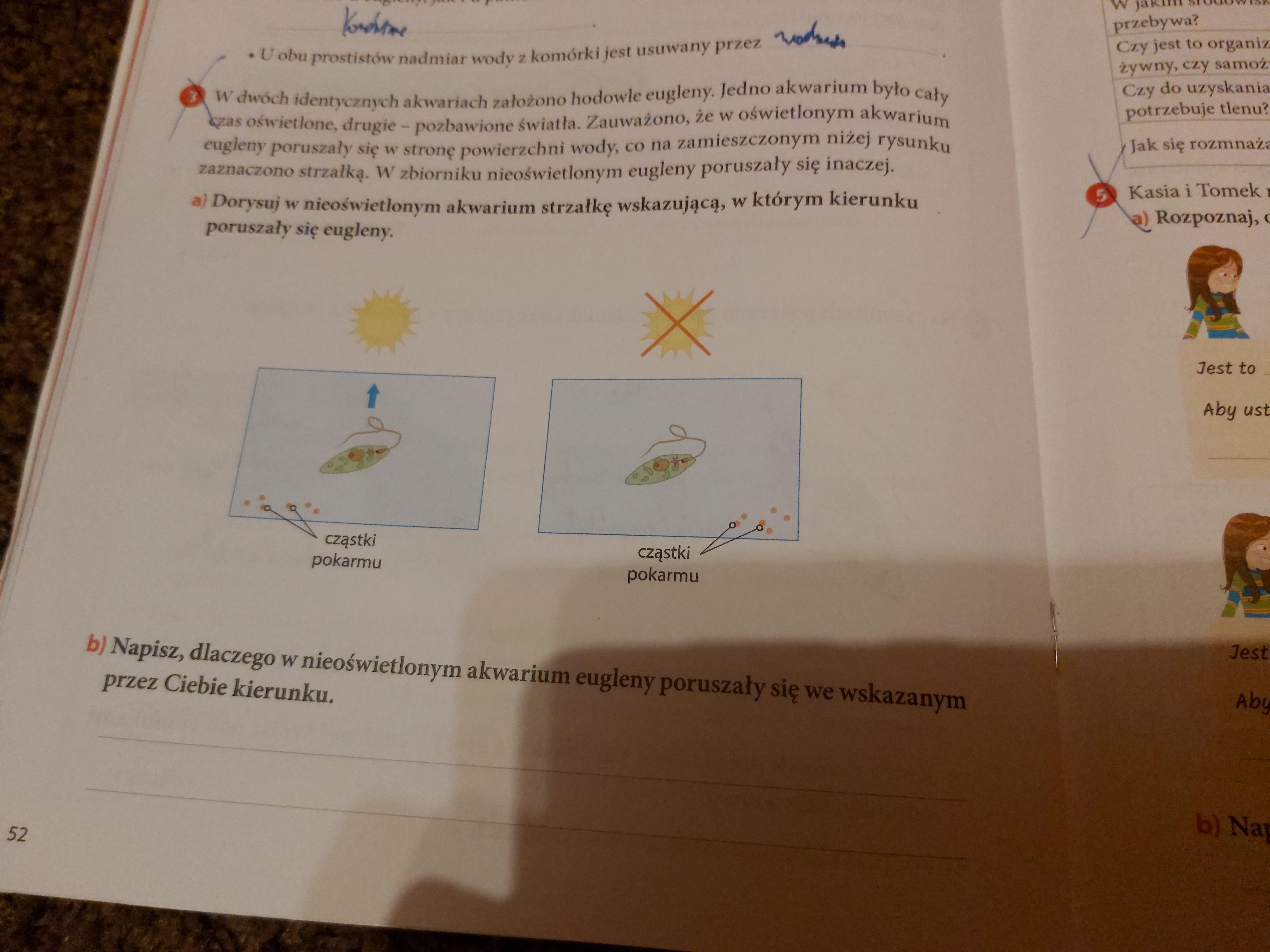 Puls Zycia Klasa 5 Cwiczenia