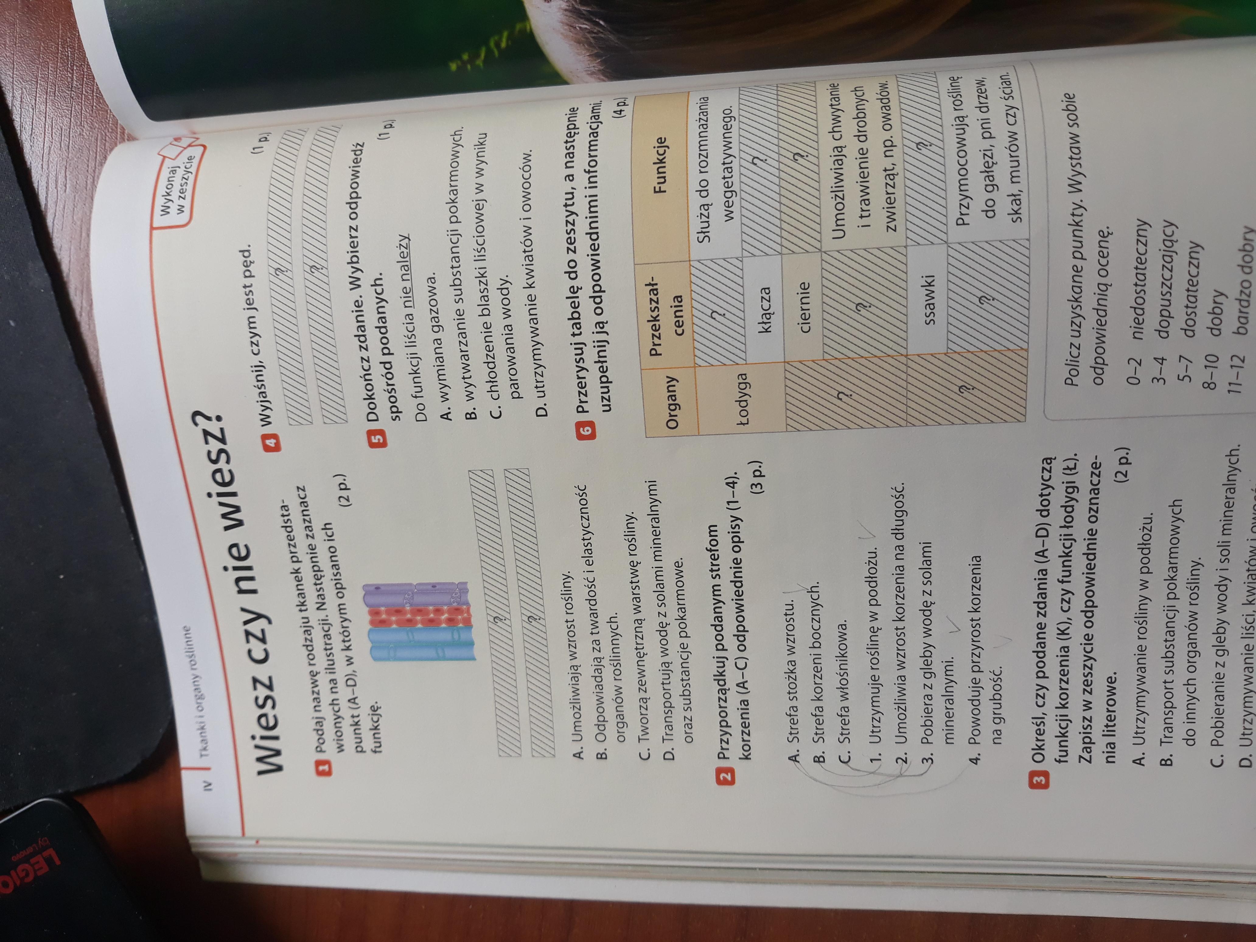 Sprawdzian Z Biologii Klasa 5 Dzial 1 Puls Zycia