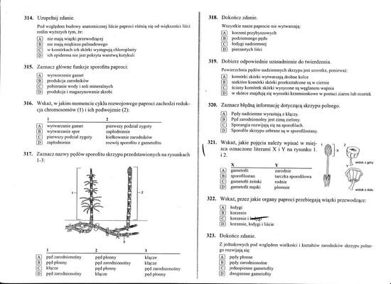 Biologia rozszerzona-paprotniki, mszaki pomocy ? – zadania, ściągi i Testy Biologia Kl 5