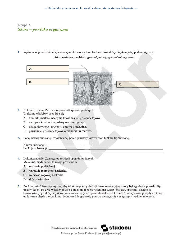 Biologia skóra | PDF Test Biologia Klasa 7 Skora