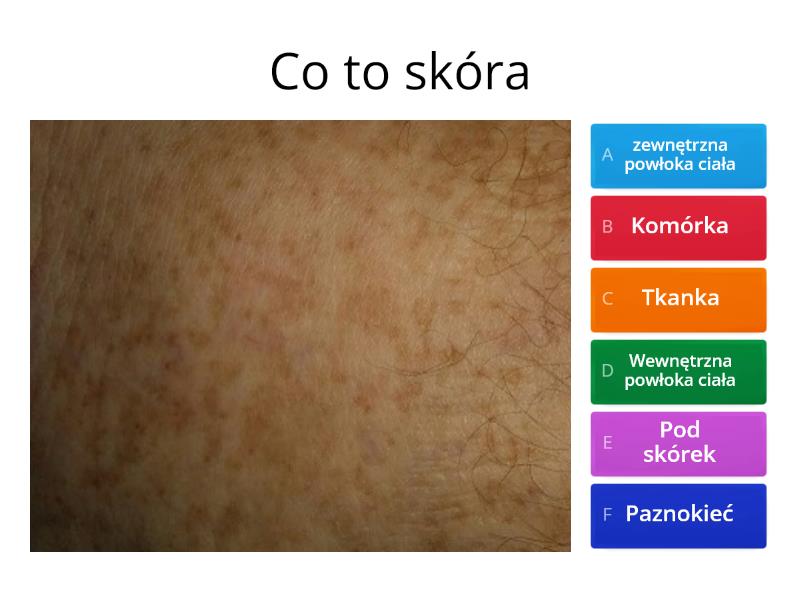 Test Z Biologii Skora