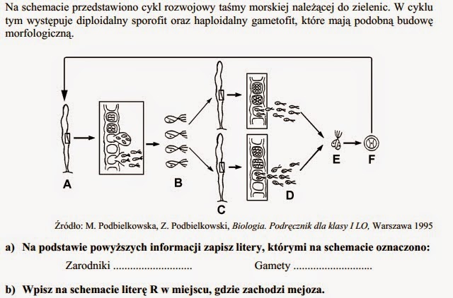 Biologia: Zadania z bakterii, wirusów i protista. Wirusy Bakterie Protisty Grzyby Zadania Maturalne Pdf