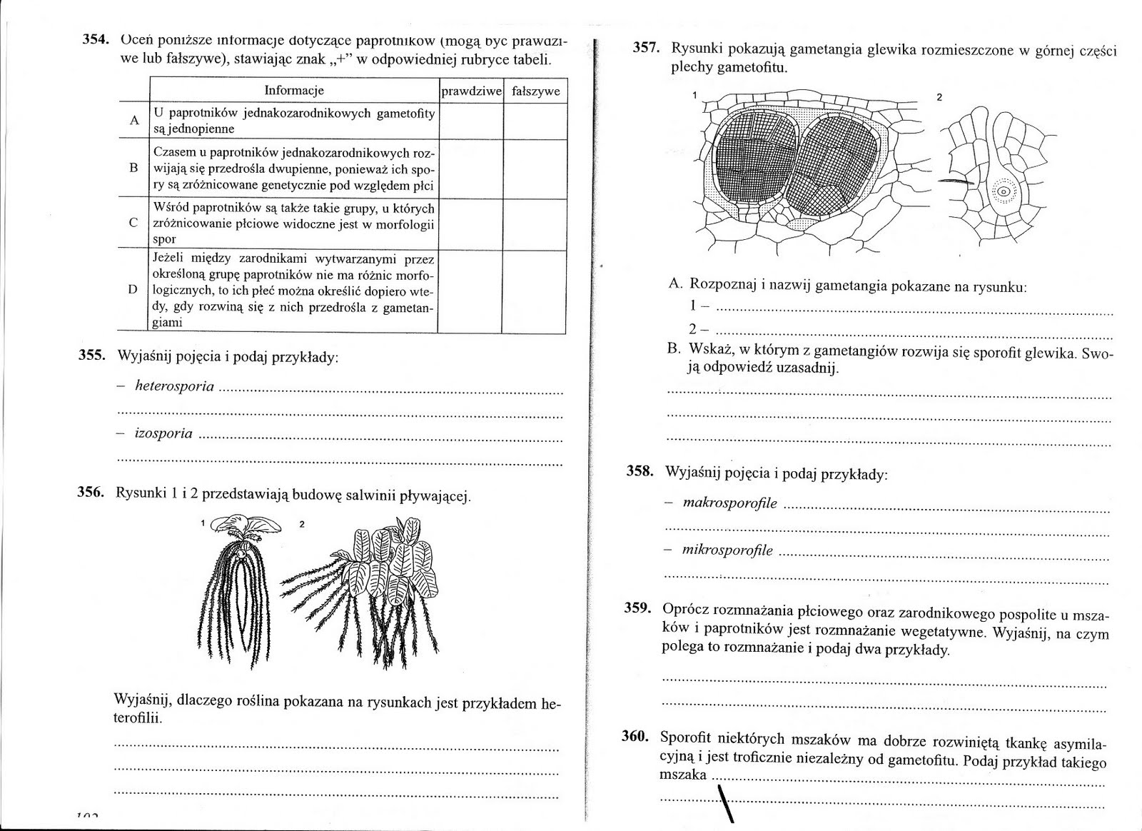 Sprawdzian Biologia