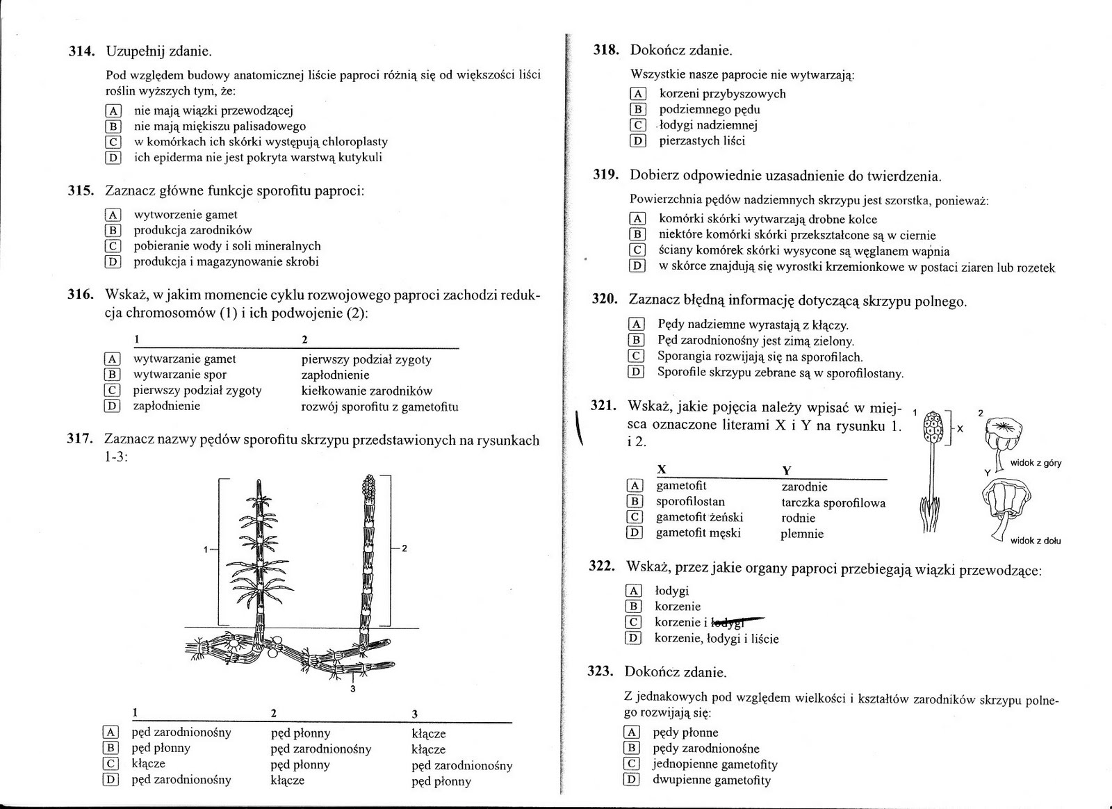 Biologiczno-Chemiczna: Mszaki i paprotniki Testy Z Biologii Klasa 5