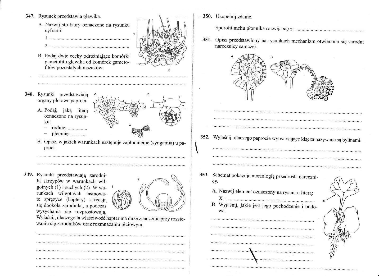 Biologiczno-Chemiczna: Mszaki i paprotniki Test Z Biologii Klasa 5 Dzial 2 Puls Zycia