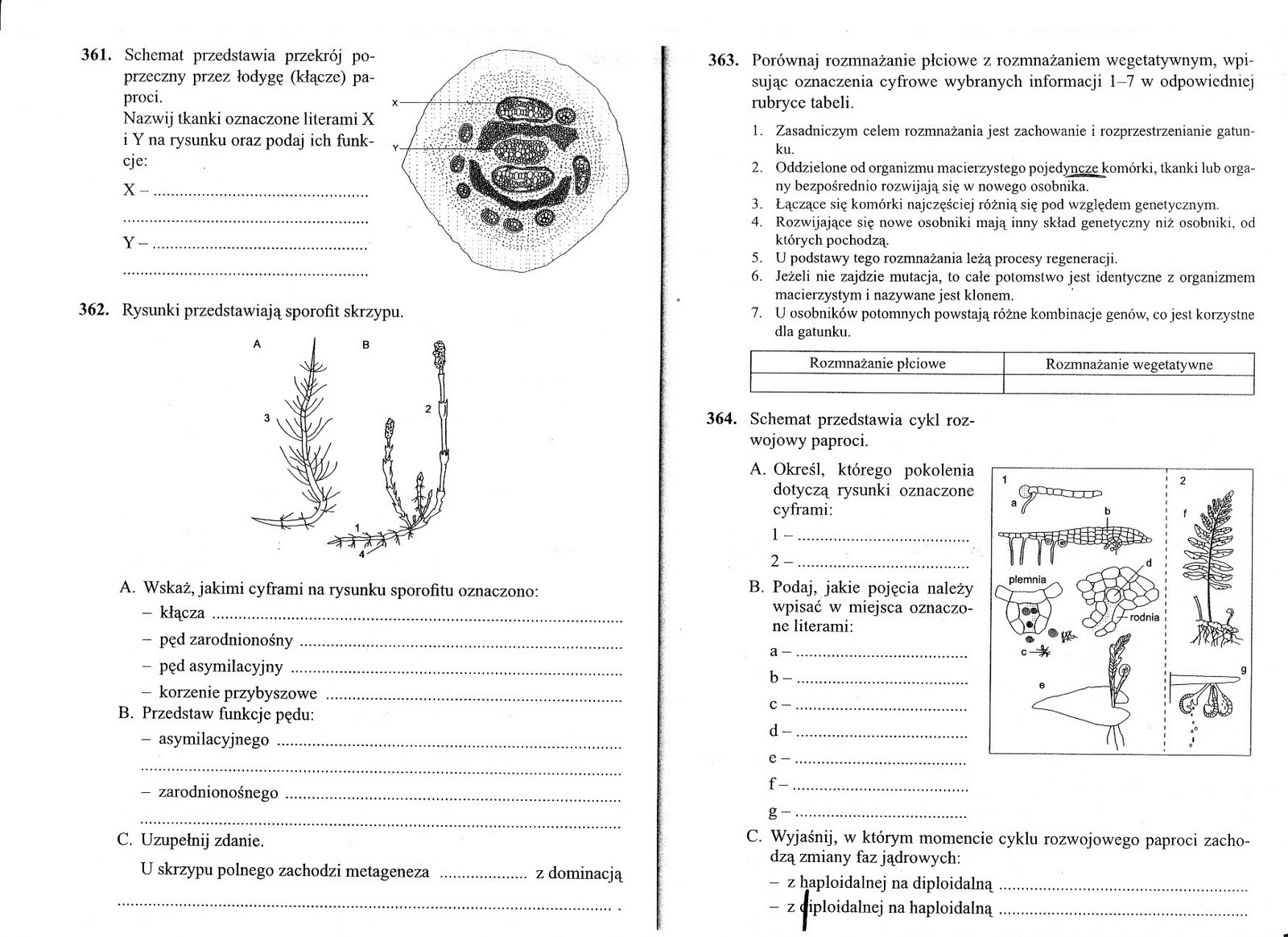 Biologia Klasa 5 Dzial 2 Sprawdzian
