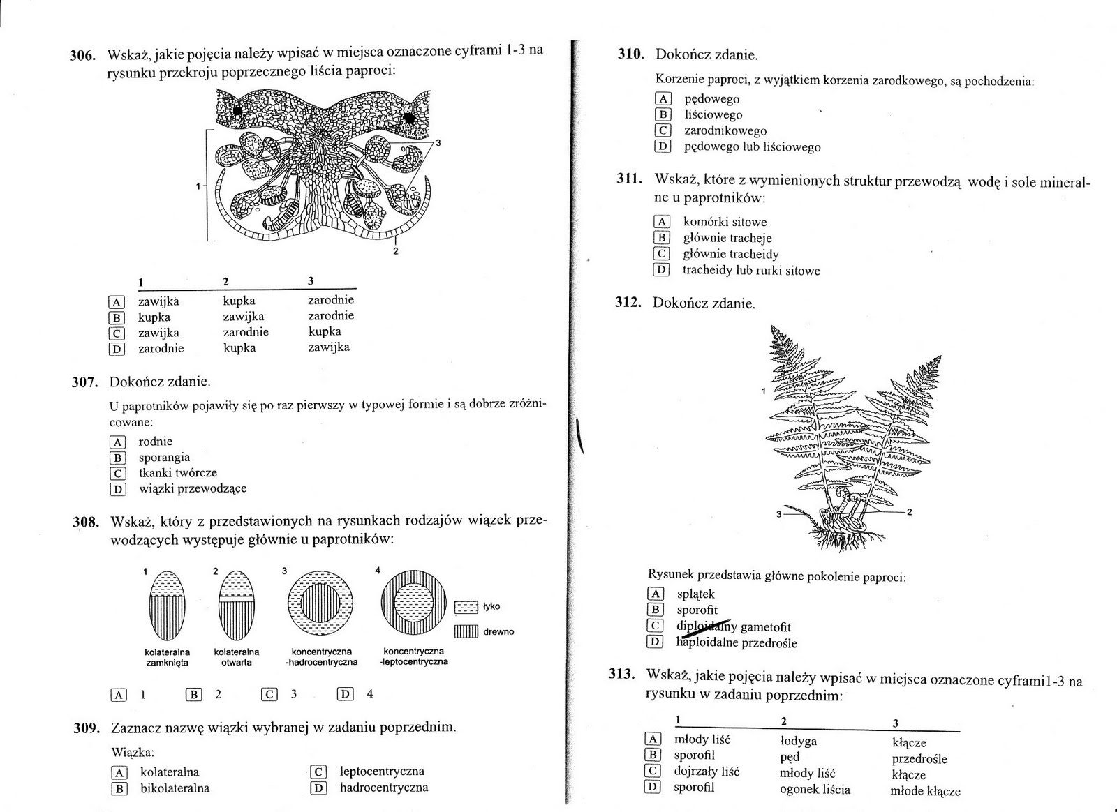 Biologiczno-Chemiczna: Mszaki i paprotniki Test Z Biologii Klasa 5 Dzial 1 Do Druku