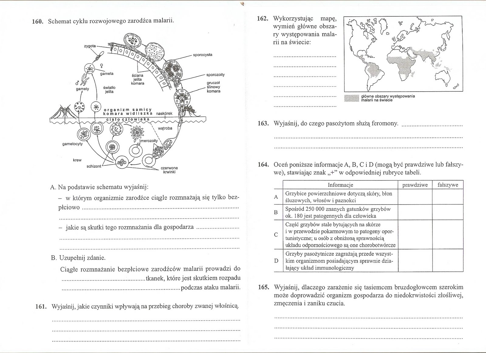 Biologiczno-Chemiczna: Płazińce i nicienie :) Test Biologia Klasa 8 Dzial 1