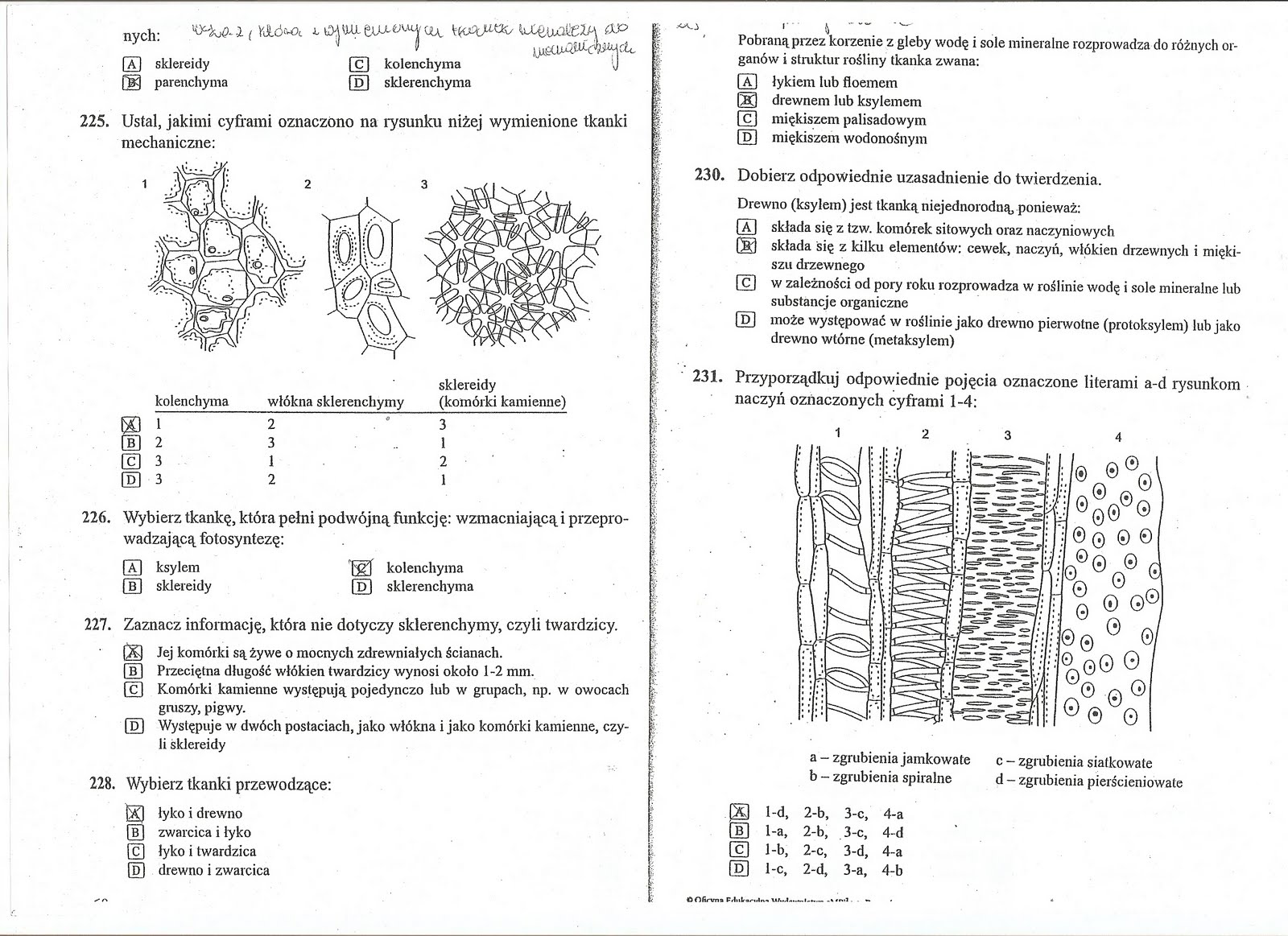 Biologiczno-Chemiczna: Tkanki z biologii Sprawdzian Z Biologii Klasa 5 Dzial 1 Nowa Era Odpowiedzi