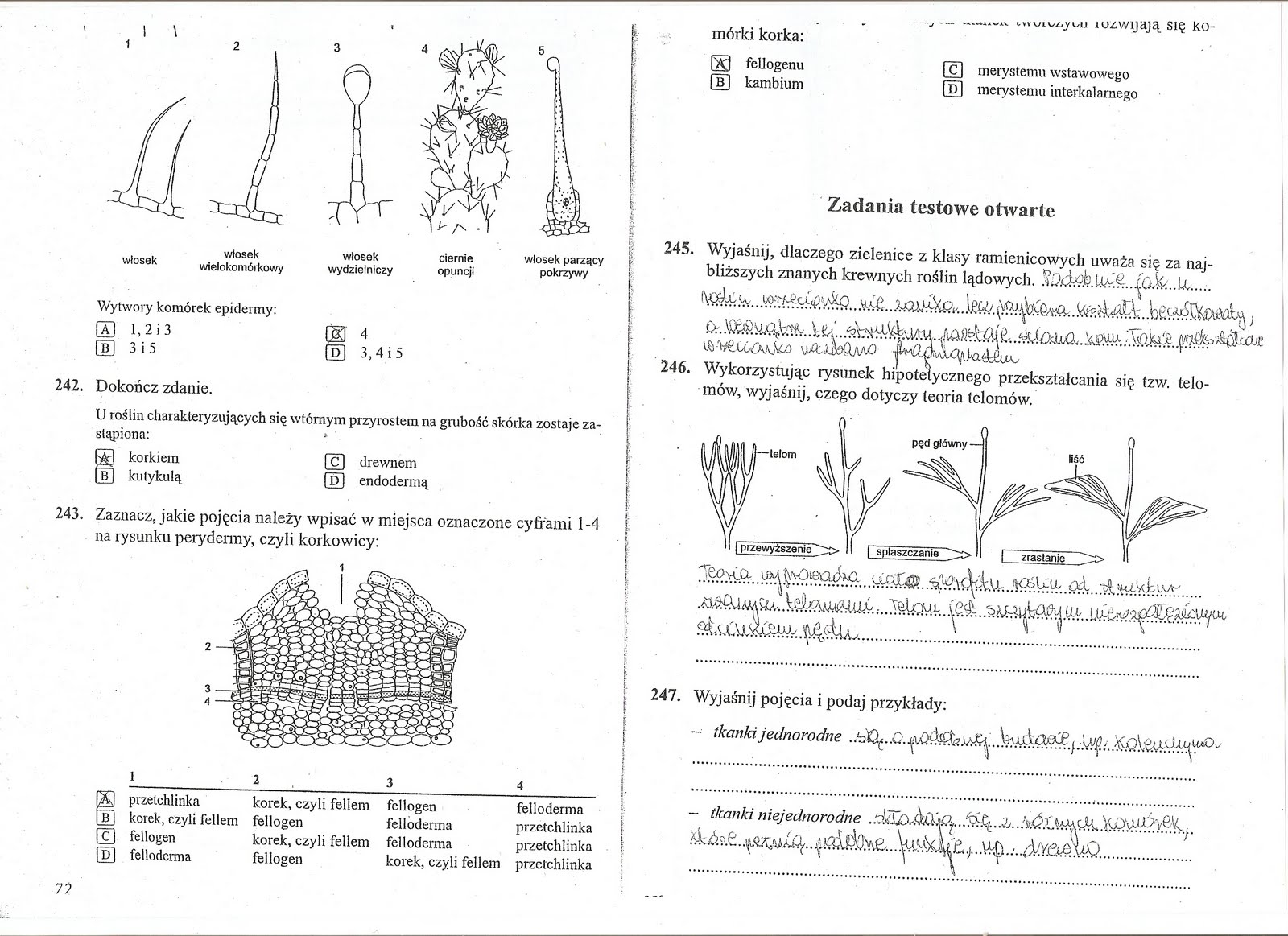 Biologiczno-Chemiczna: Tkanki z biologii Sprawdzian Z Biologii Klasa 5 Dzial 1 Nowa Era Odpowiedzi