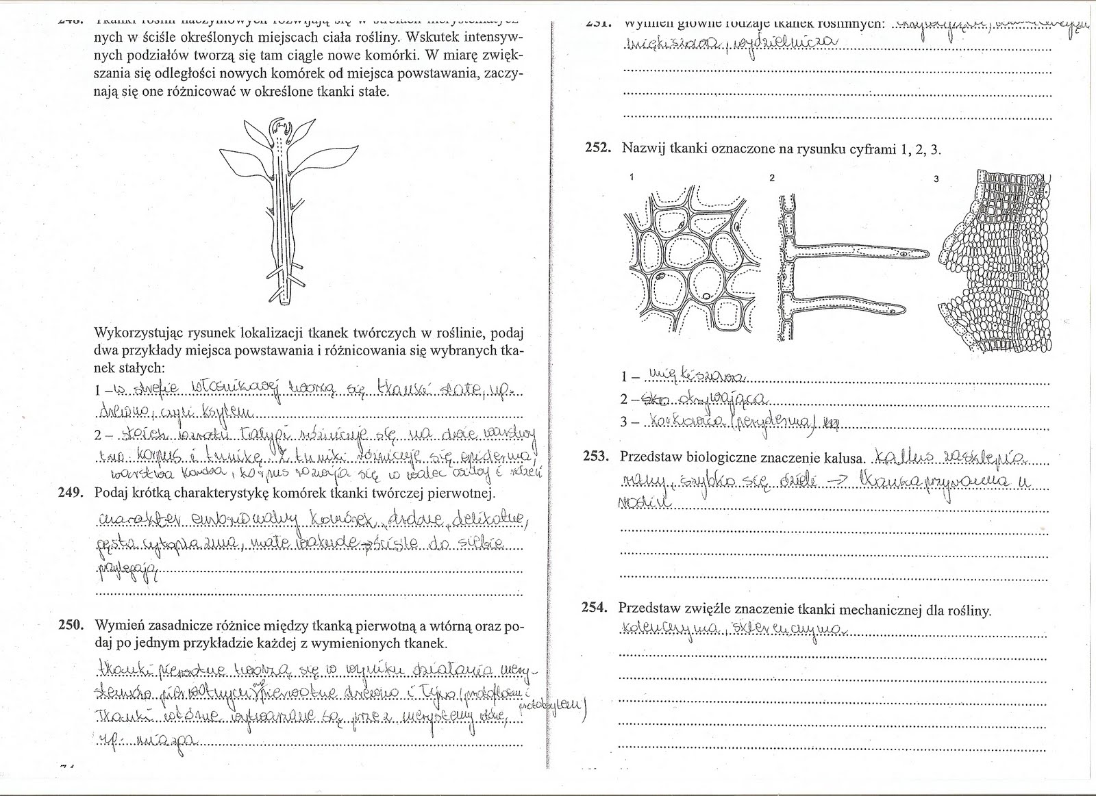 Biologiczno-Chemiczna: Tkanki z biologii Sprawdzian Z Biologi Klasa 6 Dzial 5