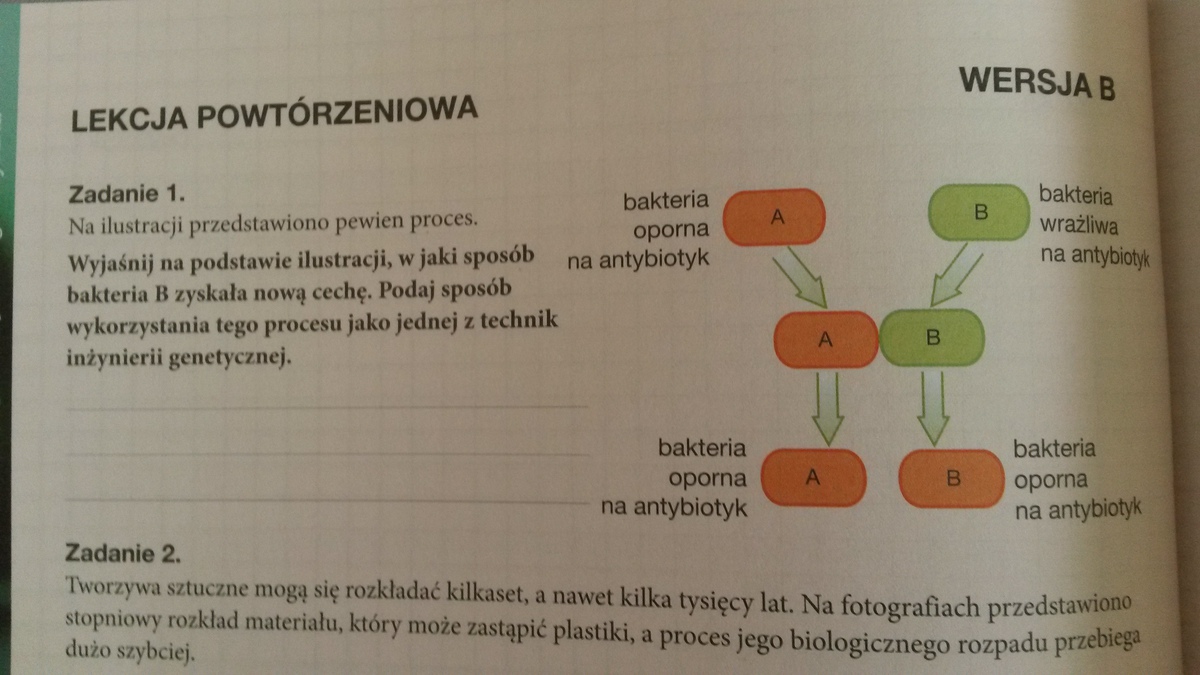 Biotechnologia i inżynieria genetyczna. Zadanie 1 - Brainly.pl Biotechnologia I Inżynieria Genetyczna Odpowiedzi Chomikuj