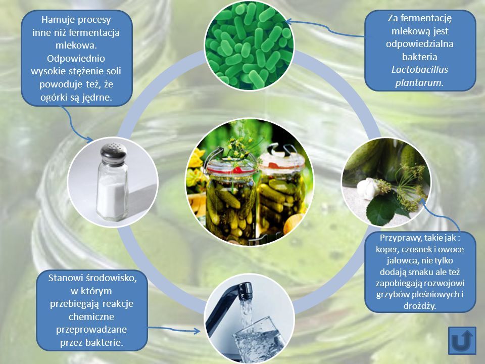 Biotechnologia tradycyjna. Zastosowanie biotechnologii w ochronie Biotechnologia Tradycyjna Biotechnologia W Ochronie środowiska Odpowiedzi