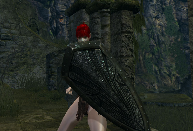 Dark Souls Black Knight Shield