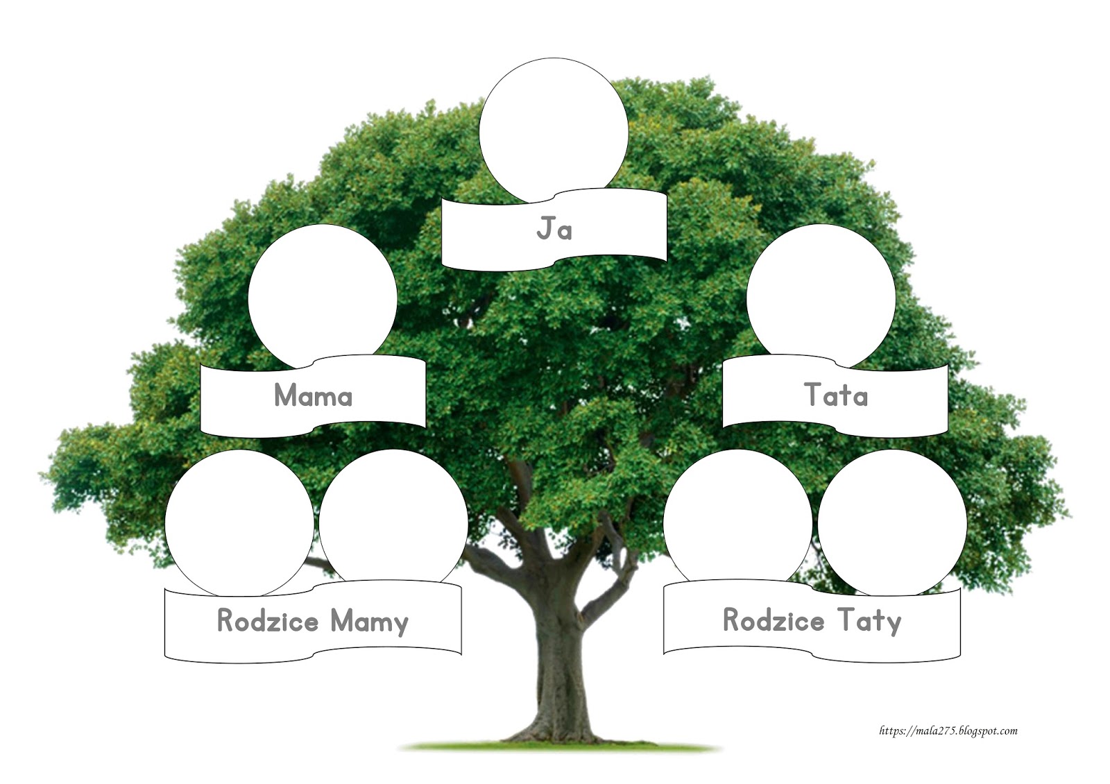 Drzewo Genealogiczne Dla Dzieci Wzór