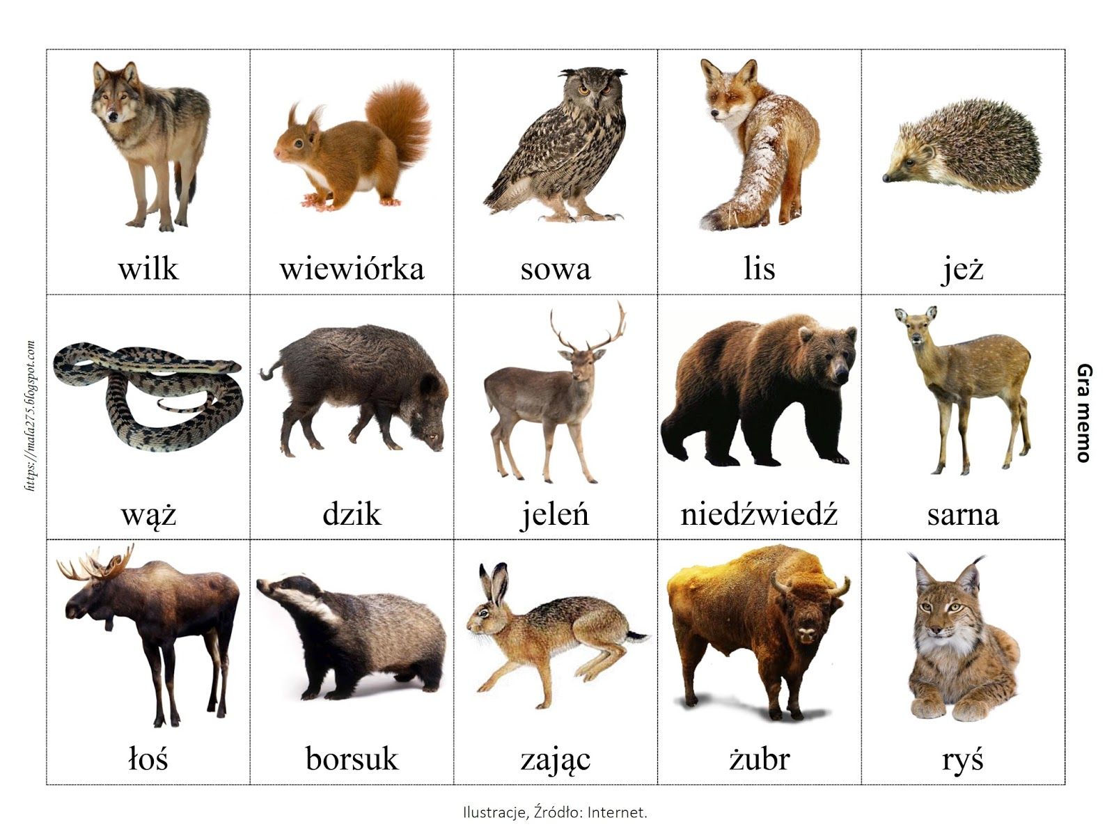 BLOG EDUKACYJNY DLA DZIECI: GRA MEMO - MIESZKAŃCY LASU | Animali Jakie Zwierzeta Mieszkaja W Runie Lesnym