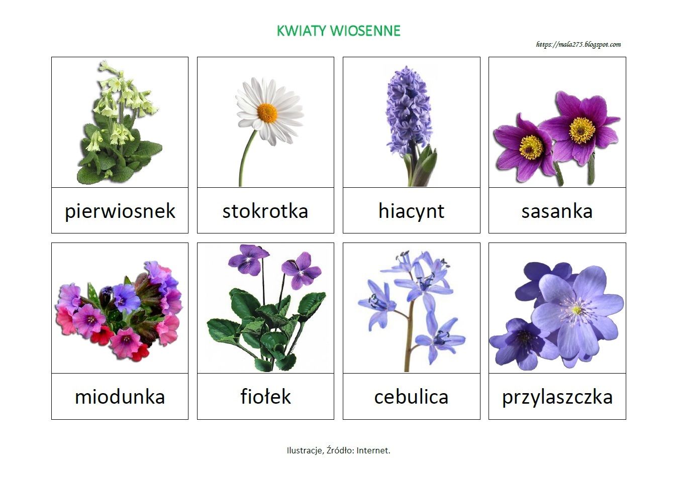 BLOG EDUKACYJNY DLA DZIECI: KWIATY WIOSENNE - PLANSZA | Montessori Wiosenne Kwiaty Nazwy Kwiatow