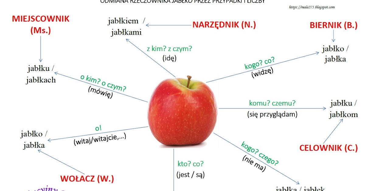 Jablka Jaki To Rodzaj Rzeczownika