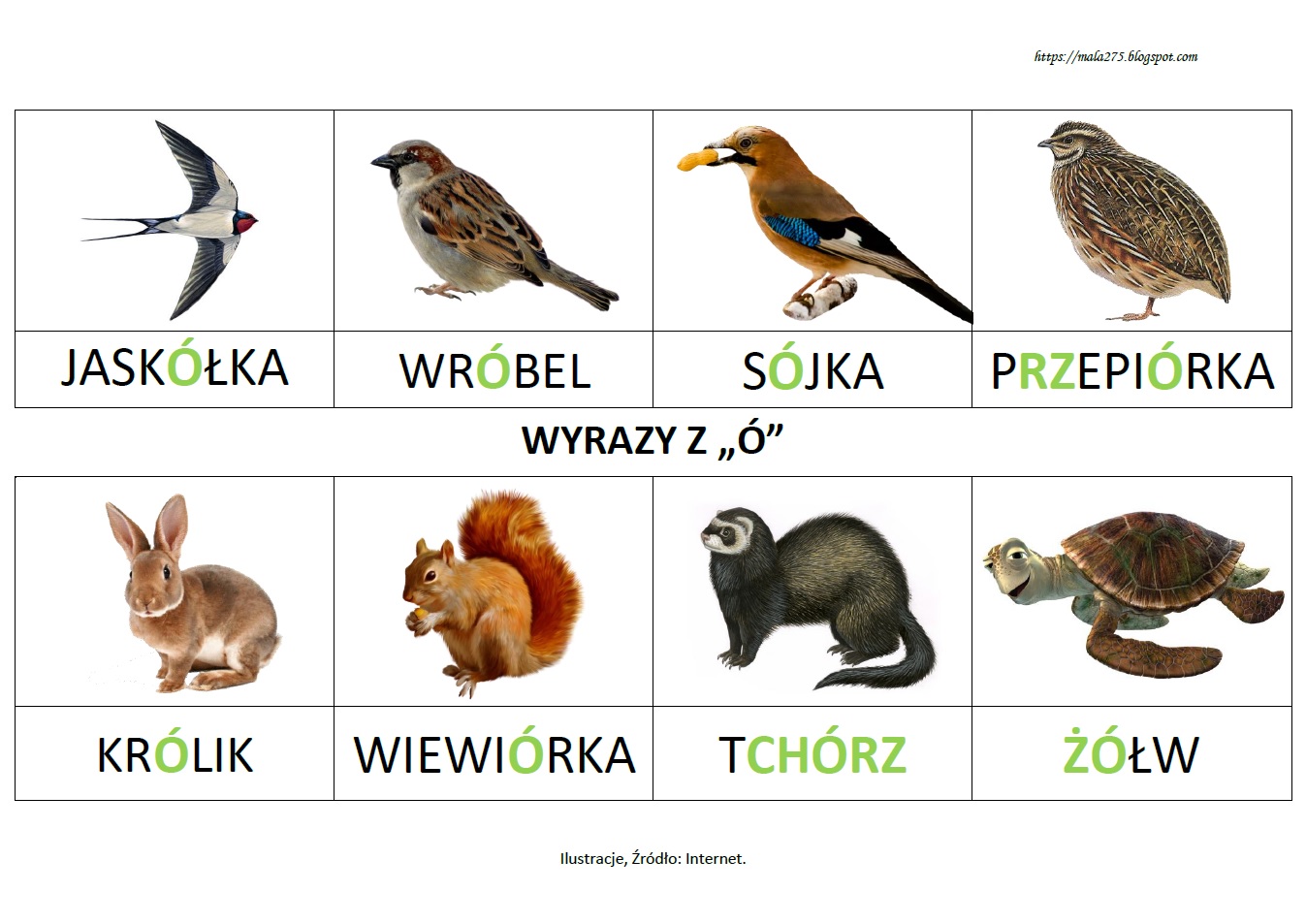 BLOG EDUKACYJNY DLA DZIECI: WYRAZY Z "Ó" Odgadnij Nazwy Zwierząt I Roślin Z Ch Ih